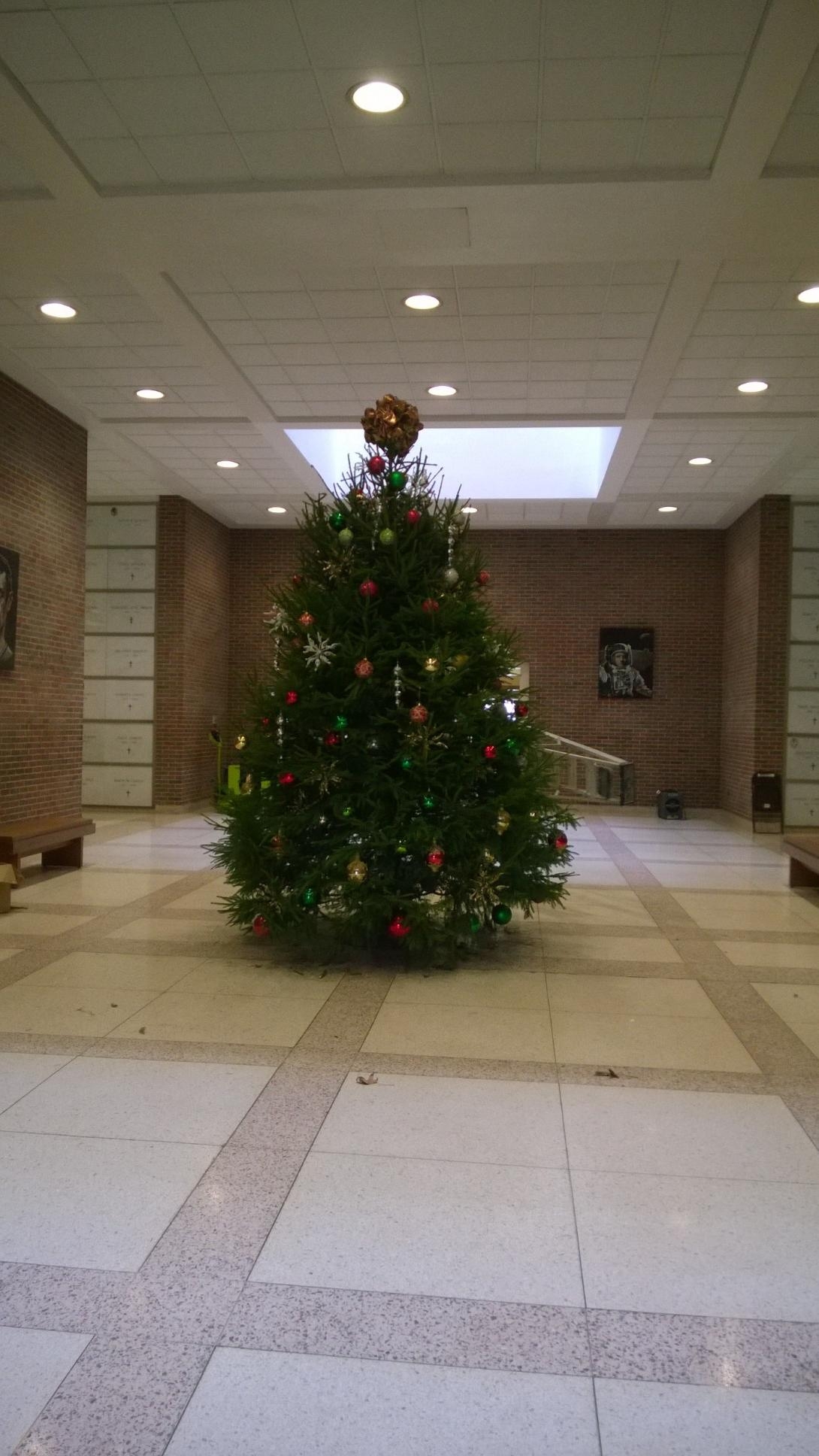 photo gallery christmas tree shops hartsdale
